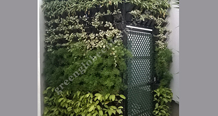 Bio wall Garden Panels